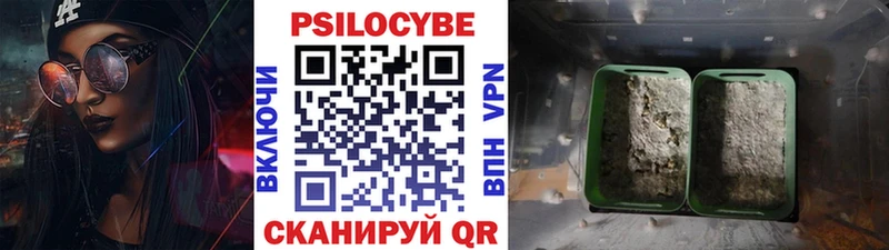 Псилоцибиновые грибы MAGIC MUSHROOMS  дарнет шоп  Никольск 